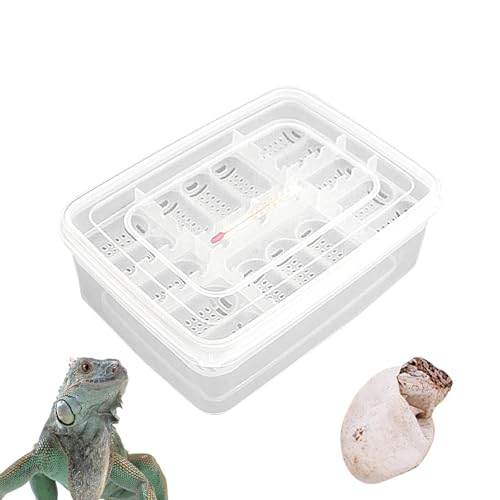 Bvizyelck Reptilienzuchtbox - 16 Gitter Transparent Reptilieneier Inkubator | Inkubationsbox für Reptilieneierentwicklung, Schlüpfkoffer, Schlüpfschale von Bvizyelck