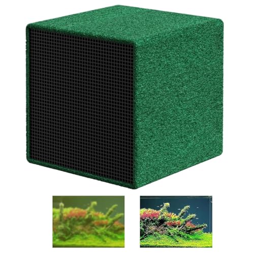 Bvizyelck Wasserreinigung Cube Aktivkohle Nanos Wasserreinigungsfilter Für Wasser Aquarium Aktivkohle Aquarium Filter Cube Wabenstruktur Holzkohle Deodorants Wasserreiniger Wasseraufbereitungswürfel von Bvizyelck