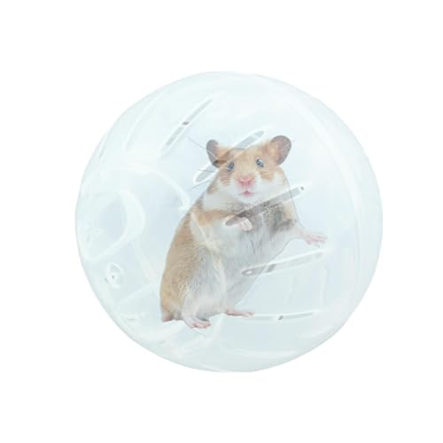 Hamsterball Hamster Laufball Hamster Gymnastikball Hamsterball Übungsball Sportball Hamsterball Spielzeug Laufkugel Für Hamster & Mäuse Joggingball Für Kleintiere Haustier Rolle Kugel Laufkugel von Bvizyelck