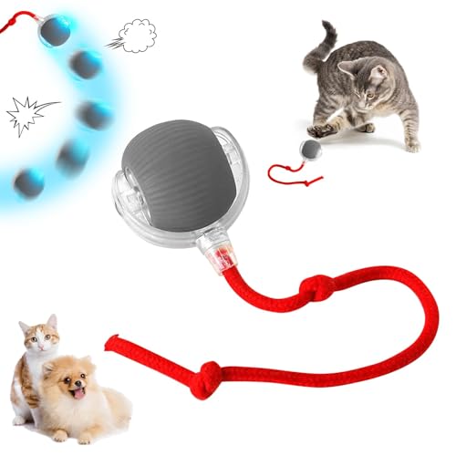 Bxjinkele Interaktives Katzenball Spielzeug, Katzenspielzeug Selbstbeschäftigung, Interaktives Katzenspielzeug Katzenball, Katzensprint Spielzeug Power Ball, Smart Cat Toy Ball Rollender Ball (Grau) von Bxjinkele