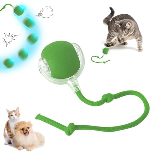 Bxjinkele Interaktives Katzenball Spielzeug, Katzenspielzeug Selbstbeschäftigung, Interaktives Katzenspielzeug Katzenball, Katzensprint Spielzeug Power Ball, Smart Cat Toy Ball Rollender Ball (Grün) von Bxjinkele