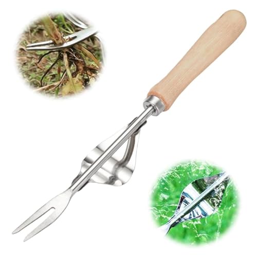 Bxjinkele Wurzeljäter mit Holzgriff, Unkrautstecher Edelstahl, Handjätgerät für den Garten, Gartenarbeit Hand Unkrautstecher, Unkrautjäter Handbetätigt, Manueller Weeder zum Graben,Jäten,Lösen (1Pc) von Bxjinkele