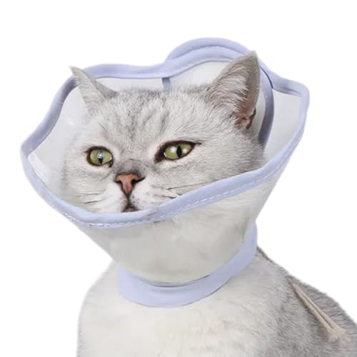 Katzenhalsband für kleine Katzen, perfekt geeignet für die Linderung von Verletzungen nach der Rehabilitation von Bydezcon