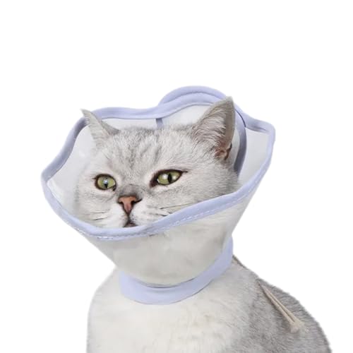 Katzenhalsband für kleine Katzen, perfekt geeignet für die Linderung von Verletzungen nach der Rehabilitation von Bydezcon