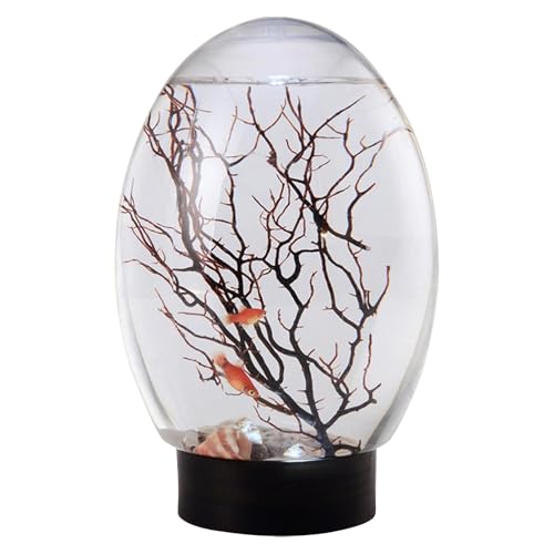 Desktop Fischschale Glas, Terrarium Große Vase -Blase Mit Felgen, Fischtank Mit LED -Licht, Mehrzweckdekoration, Kompaktes Und Stilvolles Design, 18x12 cm, Für Büro, Haus Und Hotel von Byeaon