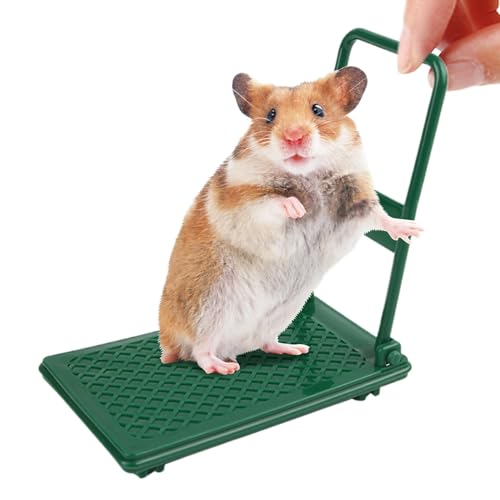 Hamsterwagen-Spielzeug, Kleintierspielzeug, Hamster-Anreicherungsspielzeug, Chinchilla-Bett, Haustierspielzeug, Hamsterkäfig-Zubehör, Kleintier-Foto-Requisiten für Hamsterkäfig-Zubehör von Byeaon