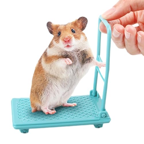 Hamsterwagen-Spielzeug, Kleintierspielzeug, Hamster-Anreicherungsspielzeug, Chinchilla-Bett, Haustierspielzeug, Hamsterkäfig-Zubehör, Kleintier-Foto-Requisiten für Hamsterkäfig-Zubehör von Byeaon