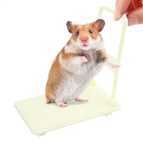 Hamsterwagen-Spielzeug, Kleintierspielzeug, Hamster-Anreicherungsspielzeug, Chinchilla-Bett, Haustierspielzeug, Hamsterkäfig-Zubehör, Kleintier-Foto-Requisiten für Hamsterkäfig-Zubehör von Byeaon