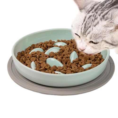 Slow Feed Bowl | Cat Feeding Bowls | Anti-Slip Cat Bowl | Interactive Feeding Bowl | Slow Eating Bowls | Slow Cat Bowl | Interactive Cat Dish Anti-Slip Feeding Dish for Slow Down Eating von Byeaon