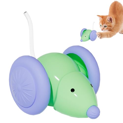 USB-wiederaufladbares Katzenspielzeug, Selbstverständliches Kätzchenspielzeug, Kätzchen-Trainingsgeräte, Interaktive Und Stimulierende, Sichere Und Langlebige, Mehrere Anwendungen, 2,36 X 2,36 X 1,57 von Byeaon