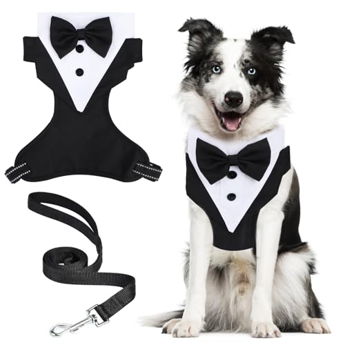 Hund Smoking Bandana Halsband,Kopftücher für Hunde mit Schleppleine für Hunde Verstellbares Hunde Smoking Hochzeits Bandana,Formale Hochzeit Party Hundehalstuch für Kleine Mittelgroße Hunde (M) von Byffoer