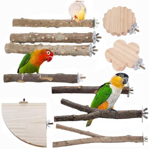 Vogel-Sitzstange, natürliches Holz, Papageien-Sitzstange, Vogelkäfig, Pfotenschleifgabel, Sittich, Kaustab, Zubehör für kleine Vögel, Wellensittiche, Sittiche und Finken, 10 Stück von Bygytyo