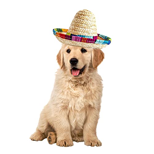 C/Y Hund Sombrero- Mini-Hunde, handgefertigt aus natürlichen Stoffen und Stroh,Tragbarer Dekorationsfür die mexikanische Cinco De Fiesta Party Xiawen von C/Y