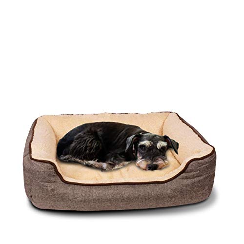 C-Collection Hundebett | Hundekissen | Hundesofa | Hundekorb mit Wendekissen Verschiedene Größen und Farben ((M) 70 x 55 cm Außenmaß, beige/braun) von C-Collection