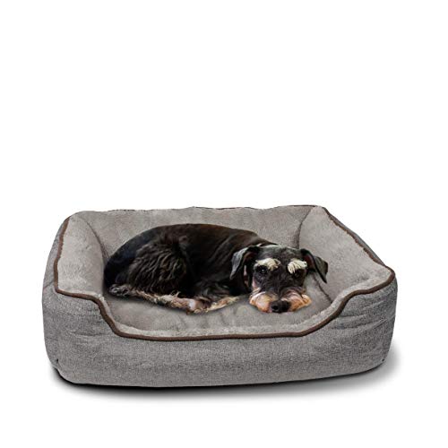 C-Collection Hundebett | Hundekissen | Hundesofa | Hundekorb mit Wendekissen Verschiedene Größen und Farben ((M) 70 x 55 cm Außenmaß, grau) von C-Collection