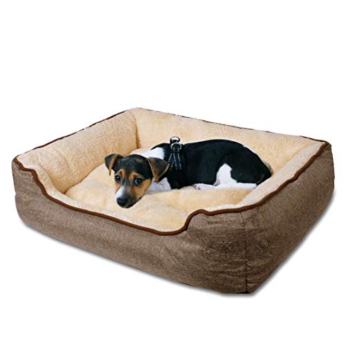 C-Collection Hundebett | Hundekissen | Hundesofa | Hundekorb mit Wendekissen Verschiedene Größen und Farben ((S) 58 x 46 cm Außenmaß, beige/braun) von C-Collection