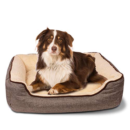 C-Collection Hundebett | Hundekissen | Hundesofa | Hundekorb mit Wendekissen Verschiedene Größen und Farben ((L) 80 x 60 cm Außenmaß, beige/braun) von C-Collection