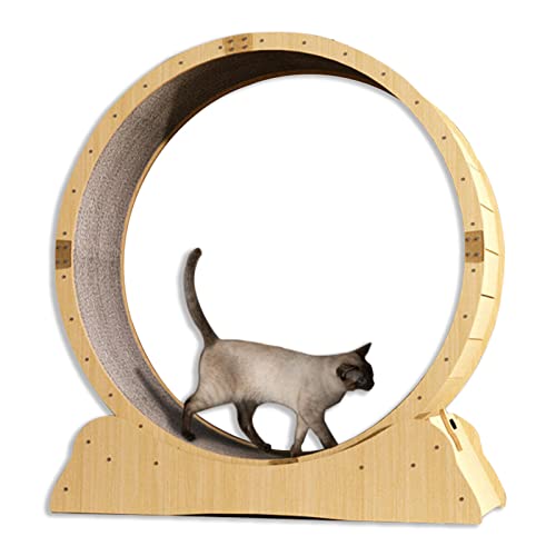 C'ESTBON katzenlaufrad Hölzernes Katzenübungs-Riesenrad, Haustierfreundliches Katzenlaufband mit Austauschbarer Laufbahn, -Katzenlaufrad mit Schloss, Winziger Spalt und Leise Riemenscheiben, Size M von C'ESTBON