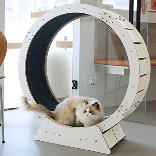 katzenlaufrad Anti-Klemm-Laufband für Super Tragende Katzen, Katzenlaufrad Zum Abnehmen, Dreht Sich Leise und Geschmeidig Hamsterrad, Katzenkratzbaum Turm (Size : Large-Diameter: 120 cm) von C'ESTBON