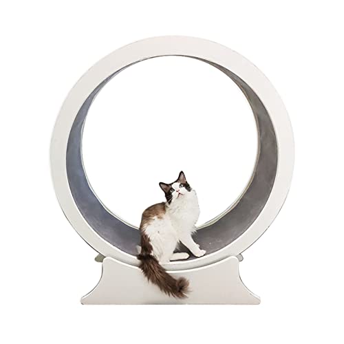 katzenlaufrad Elegantes Design Massivholz Katzenlaufband, Haustierfreundliches Super-Loading-Katzenlaufrad, Hamsterrad für Kätzchen, Kratzbaum für Katzen (Size : 96cm (37 3/4")) von C'ESTBON