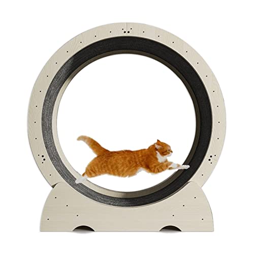 katzenlaufrad Hochleistungs-Katzenlaufband für Wohnungskatzen, Gewicht Verlierendes Katzen-Fitness-Übungsrad, Reservierte Installationslöcher, Laufen, Drehen und Kratzen (Size : 100cm (39 3/8")) von C'ESTBON