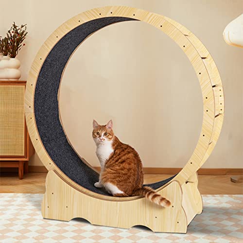 katzenlaufrad Indoor-Katzen-Gewichtsverlust-Katzen-Laufband, Haustierfreundliches Katzenlaufrad aus Massivholz, Katzenlaufrad mit Sicherheitsverschluss, Austauschbare Landebahn (Size : Size M) von C'ESTBON