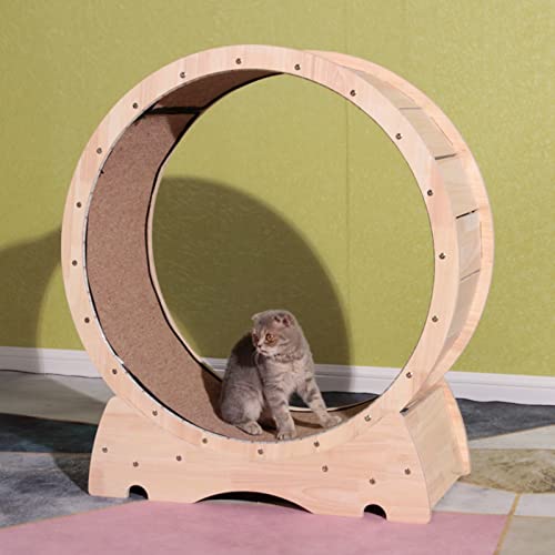 katzenlaufrad Katzenlaufband mit Verfärbtem LED-Licht, Katzenlaufrad mit Sicherheitsverschluss, Gewichtsverlust Laufband für Die Fitness Der Katze, Lauf- und Kratzspaß von C'ESTBON