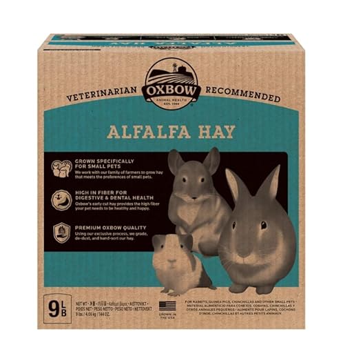 Oxbow Alfalfa Heu für Nager, natürliches und nährendes Futtermittel, 4,08 kg von C.P.A COMPLEMENTOS PARA AVES