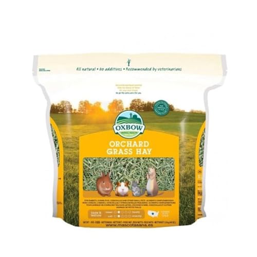 Oxbow Orchard Grass Heu für Nagetiere, 11,34 kg von C.P.A COMPLEMENTOS PARA AVES