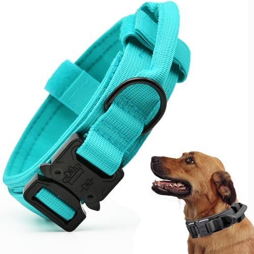 Taktisches Hundehalsband, verstellbares Militär-Training, Nylon-Hundehalsband mit Kontrollgriff und schwerer Schnellverschluss-Metallschnalle für kleine, mittelgroße und große Hunde, Blau S von CADONO