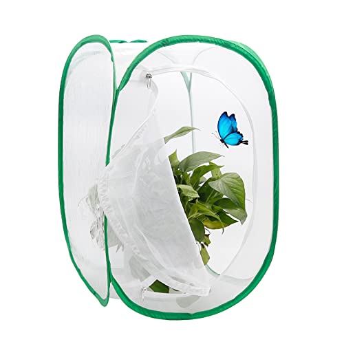 Faltbarer Insektenkäfig Insektenschutz Netz Monarch Schmetterling Habitat Insekten und Schmetterling Habitat Käfig Terrarium Pop-Up (40 x 40 x 60 cm) von CADUFUELLY