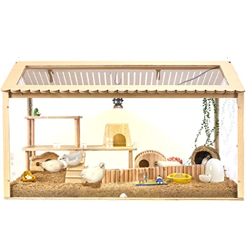 Reptilienhäuser Hölzerner Hamsterkäfig, Kleintierhaus-Lebensraumstall, spezielle transparente Luxusvilla, Oben atmungsaktiv von CAFIEDR