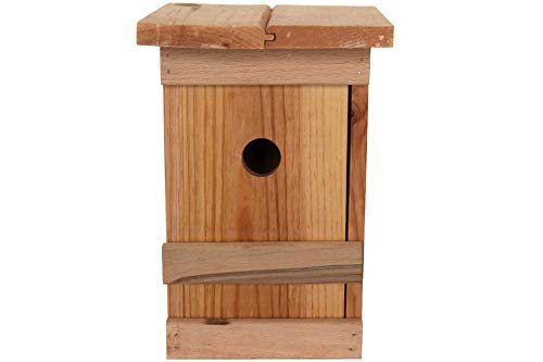 Nistkasten Early Bird 25 x 16,5 cm Vogelhaus Brutkasten von TTAMG