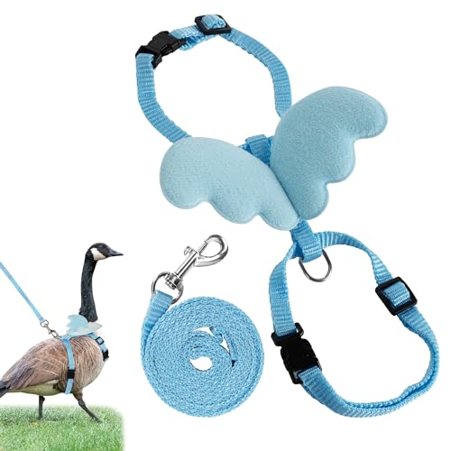 CAIRIAC Pet Vest Traction Rope Adjustable Strong Durable Nylon Duck Ttraining Leash, Traction Rope for Duck, Chicken, Goose (Blue M) von CAIRIAC