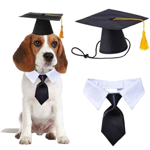 Pet Graduation Caps mit Fliege Krawatte Halsband Hund Katze Graduation Hüte Verstellbare Formale Fliegen Kostüm für Haustier Smoking Anzug Zubehör Outfits Doggy Urlaub Party Bekleidung Hut Schwarz von CAISANG