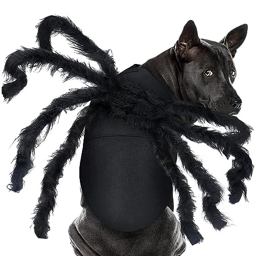 Pet Spider Costume Halloween Furry Giant Simulation Spider Apparel for Cats and Small to Medium Dogs Halloween Party Dress Up Festival Decoration Cosplay Costume (Large) von CAISANG