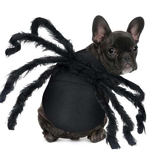 Pet Spider Costume Halloween Furry Giant Simulation Spider Apparel for Cats and Small to Medium Dogs Halloween Party Dress Up Festival Decoration Cosplay Costume (Small) von CAISANG