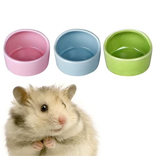 CAJHFIZHANGU 3PCS Gradient Side Hamster Keramik Schüssel Hamster Futternapf Keramik Wassernapf Kleintier Wassernapf Anti-Biss Kleintier Futternapf Wasser Feeder für Kaninchen Igel Meerschweinchen von CAJHFIZHANGU