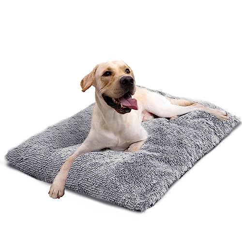 CALIYO Hundebett, Hundekissen Grosse Hunde, Flauschige Hundematte, Langer Plüsch, 100x70x10cm, weiche Polsterung, maschinenwaschbar, multifunktional, Grau von CALIYO