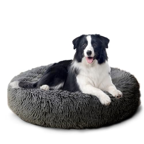 CALIYO Hundebett Mittelgroße Hunde, Katzenbett Flauschig, Katzenkissen Hundekissen Waschbar, Trocknergeeignetes Katzen Bett, Hundebetten Rund Katzenkörbchen Durchmesser 70 cm(Dunkelgrau) von CALIYO