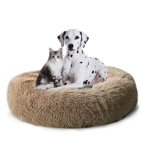 CALIYO Hundebett Hunde, Katzenbett Flauschig, Katzenkissen Hundekissen Waschbar, Trocknergeeignetes Katzen Bett, Hundebett Rund Katzenkörbchen Durchmesser 100 cm von CALIYO