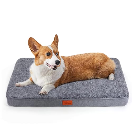 CALIYO Orthopädisches Hundebett, Hundekissen Kleine Hunde-76×51×7.6cm, Hundematte Waschbar, Memory Foam Hundematte, Dog Bed für Kleine Hunde(Dunkelgrau) von CALIYO