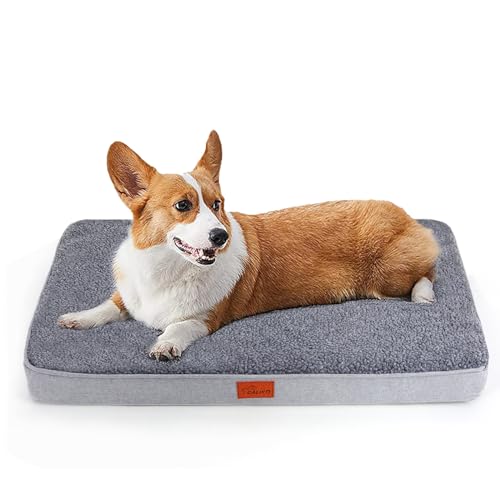 CALIYO Orthopädisches Hundebett Kleine Hunde 76x51x7.6cm, Flauschig Hundekissen Hundebett Waschbar, Unterseite Atmungsaktiv Haustierbett Dog Bed Hundematratze von CALIYO