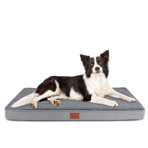 CALIYO Orthopädisches Hundebett Mittelgroße Hunde 91x69x7.6cm, Flauschig Hundekissen Hundebett Waschbar, Unterseite Atmungsaktiv Haustierbett Dog Bed Hundematratze von CALIYO