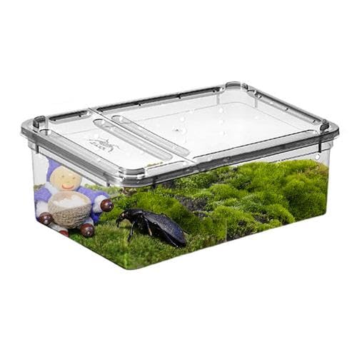 2,5×19×7,5 cm Mini Terrarium Box Fur Reptilien Tragbarer Reptil Fütterungsbox Reptilien Terrarium Box Reptilien Futterbox Transparent Insekten Futterbox Reptilien Aufzuchtbox Für Spinnen, Eidechse von CAMEIRGOU