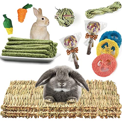 CAMITER Kleine Haustier-Grasmatte, 2 Stück Handgewebt Kaninchen Grasmatte, 14 Stück Kleintierspielzeug zum Knabbern und um Langeweile zu vertreiben für Kaninchen Meerschweinchen Hamster von CAMITER