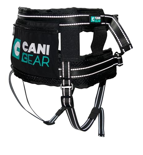 CANI C GEAR, Geschirr, Modell Olympia, Farbe Schwarz, atmungsaktives Mesh™-Futter, elastische Aufbewahrungstasche, Lenden- und Gesäßstütze, verschiebbarer Karabiner von CANI C GEAR