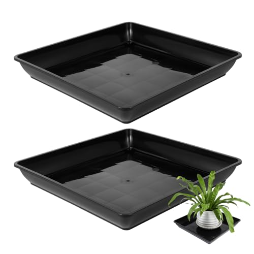 CANIGHT 2St Blumentopf Tablett Zimmerpflanzentöpfe Pflanzgefäße für den Garten Anlage pflanzentopf untersetzer Pflanztopf Untersetzer Pflanzenuntersetzer Untersetzer für Pflanzen pp Black von CANIGHT