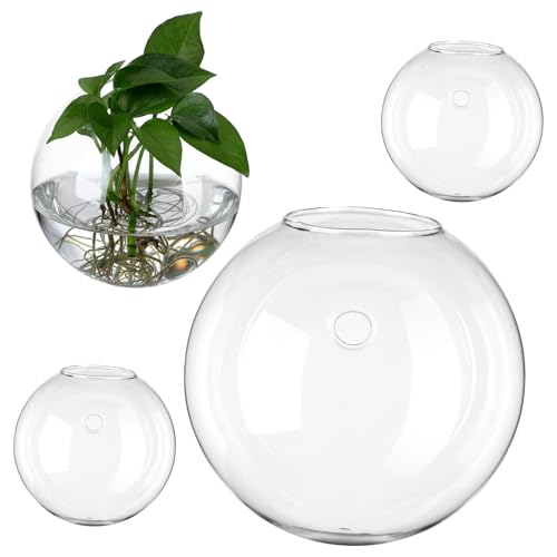 CANIGHT 4 Stück Glasvase Korb klarer Blasenpflanzer Bahnhof Pflanzen Terrarium bürodeko Office Decoration Planter hängende Vermehrungsstation hängende Pflanzgefäße für Zimmerpflanzen von CANIGHT