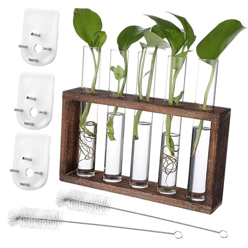 CANIGHT Anzucht Wandbehang Pflanzgefäße Aus Glas Mit Holzständer Anzuchtstationen Für Pflanzen Inklusive Reinigungsbürsten Und Installation Von Nägeln Ideales Tisch Terrarium Zubehör Blumen Vase von CANIGHT